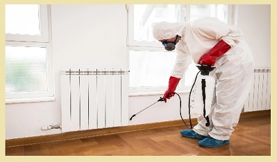 شركة رش مبيدات بالدمام 0580318973